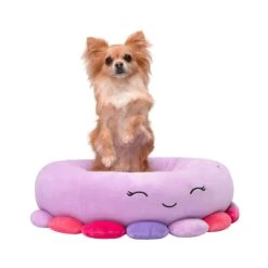 Beula The Octopus - Squishmallows Pet Bed -Squishmallows JPT0085 Pets SquishmallowsBed BeulaTheOctopus 20in SM 01 lpr