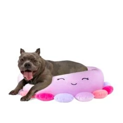 Beula The Octopus - Squishmallows Pet Bed -Squishmallows JPT0085 Pets SquishmallowsBed BeulaTheOctopus 30in LG 2.0 lpr