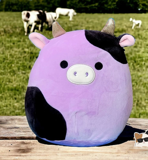 Squishmallows -Squishmallows S2VEQQ66R6CRCRUP5